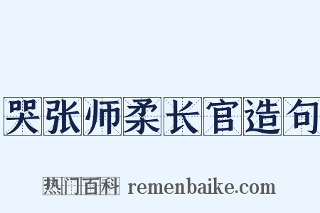 哭张师柔长官造句是什么意思的图片